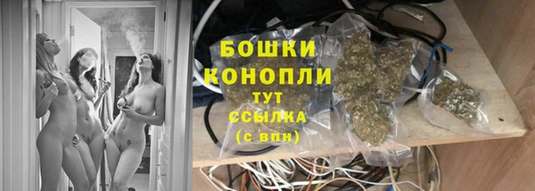 мяу мяу мука Елабуга