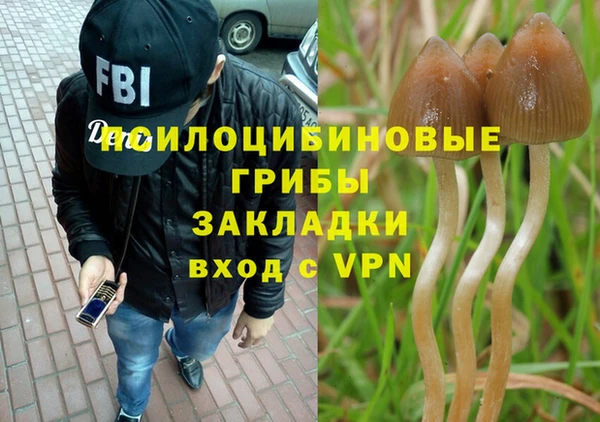гашиш Елизово