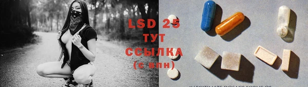 ГАЛЛЮЦИНОГЕННЫЕ ГРИБЫ Ельня