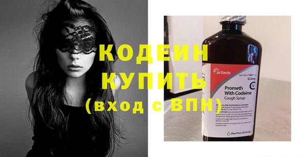 ГАЛЛЮЦИНОГЕННЫЕ ГРИБЫ Ельня