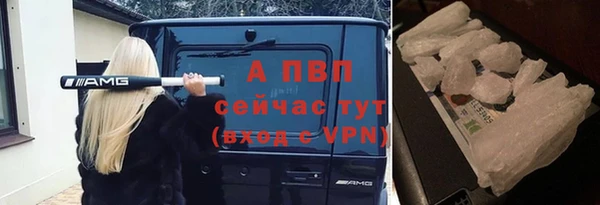 мяу мяу мука Елабуга