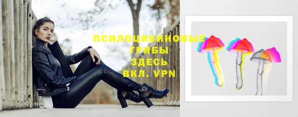 ГАЛЛЮЦИНОГЕННЫЕ ГРИБЫ Ельня