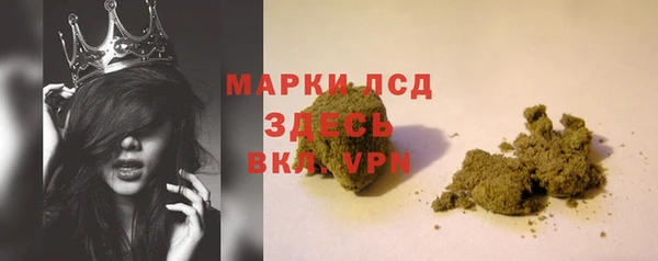 ГАЛЛЮЦИНОГЕННЫЕ ГРИБЫ Ельня