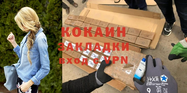 ГАЛЛЮЦИНОГЕННЫЕ ГРИБЫ Ельня