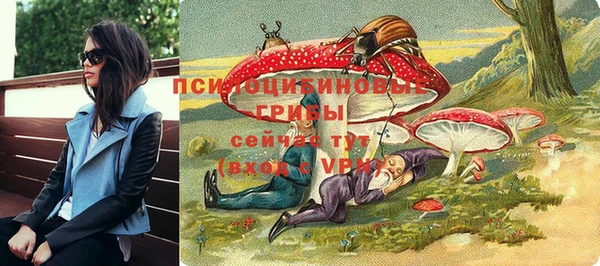 ГАЛЛЮЦИНОГЕННЫЕ ГРИБЫ Ельня