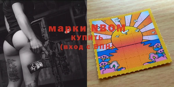 ГАЛЛЮЦИНОГЕННЫЕ ГРИБЫ Ельня