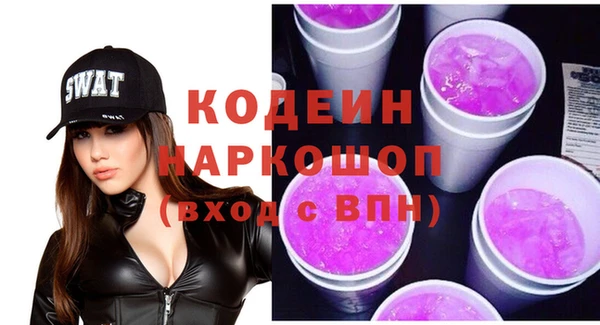 ГАЛЛЮЦИНОГЕННЫЕ ГРИБЫ Ельня