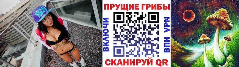 Купить закладки  Ярцево  Галлюциногенные грибы Psilocybine cubensis 